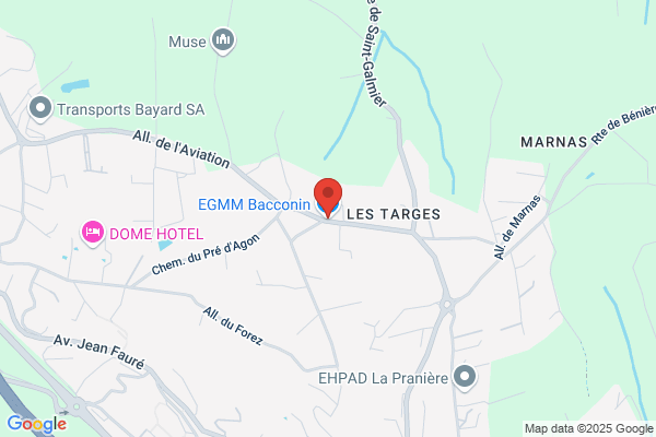 Egmm Bacconin