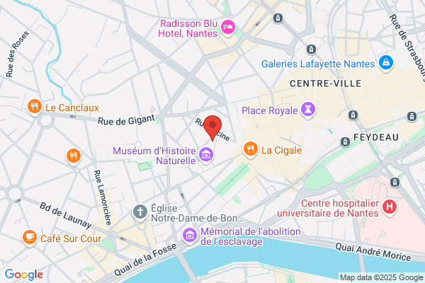 Courtis Nantes