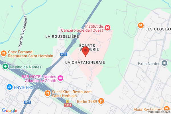 Chaillous