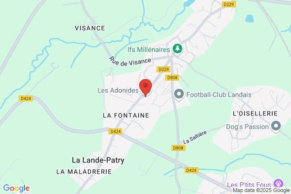 Entr Actes Association Sports Et Loisirs Pour Adultes handicap
