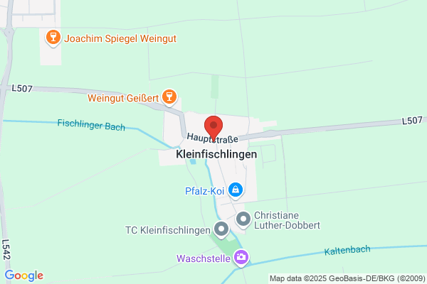 Knieper Wolfgang