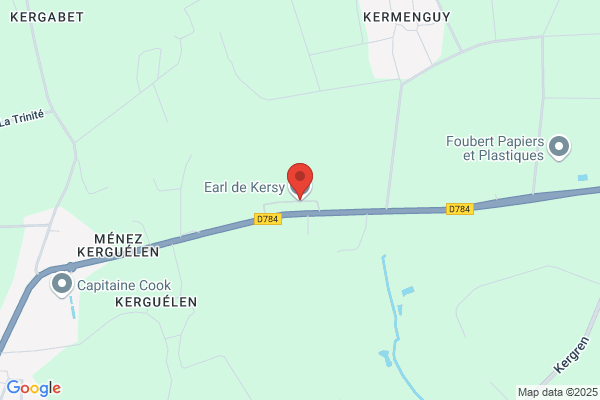 Earl De Kerlizeau