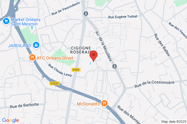 College Etienne Dolet Orleans Standard