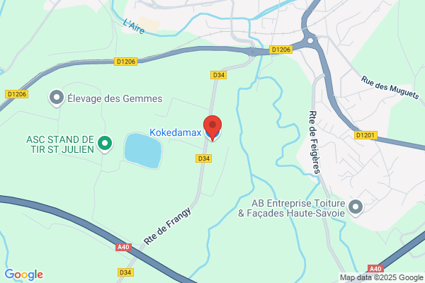 Kokedamax