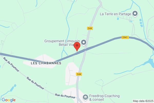Groupement Limousin Betail Viande Glbvgie Fleur De Limousin