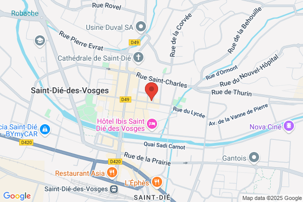 Bar Le Dauphin