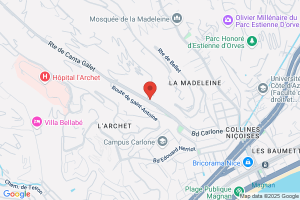 Brachet Odile