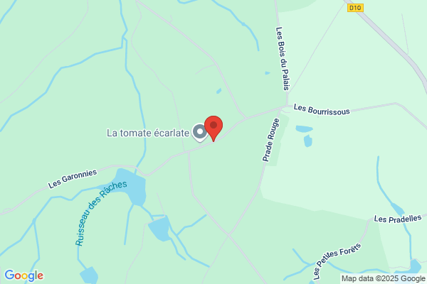 sas l'ecureuil