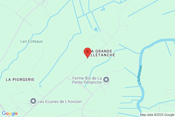 Batard Bertrand Et Genevieve