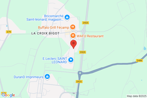 Darty Fecamp à saint léonard