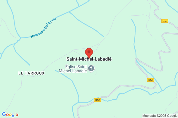 Badie Michel