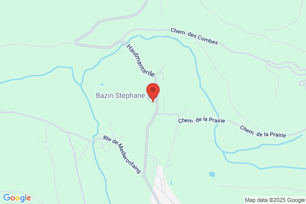 Bazin Michel