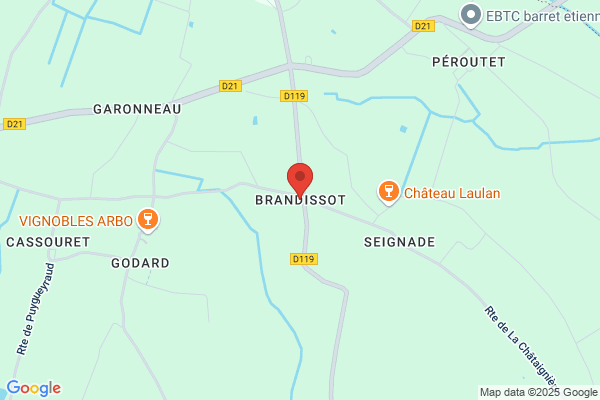 Brandicourt Jerome