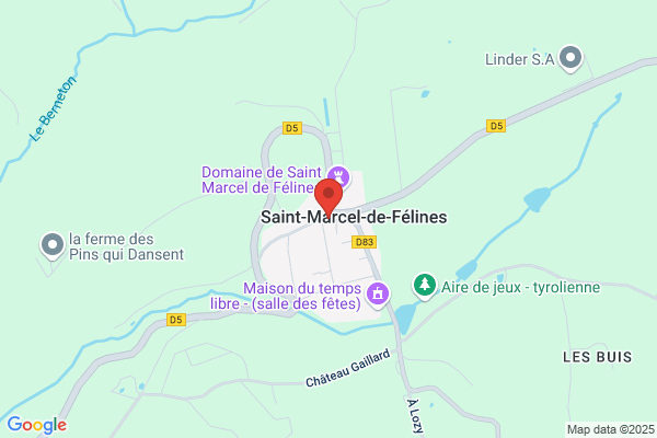 Bar Le Felinois