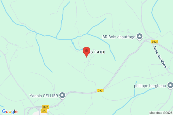 Auberge Des Faux