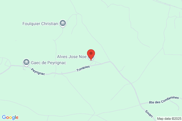 Alves Jose