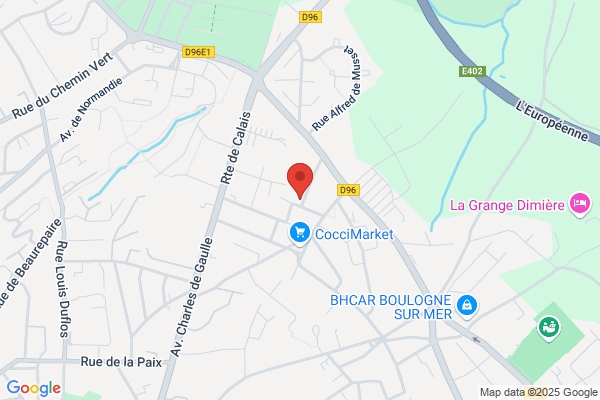 Conseil General Du Pas De Calais Revenu minimum insertion