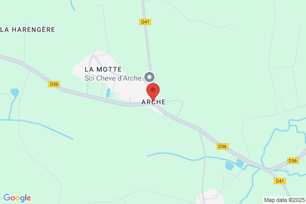 Arche 5