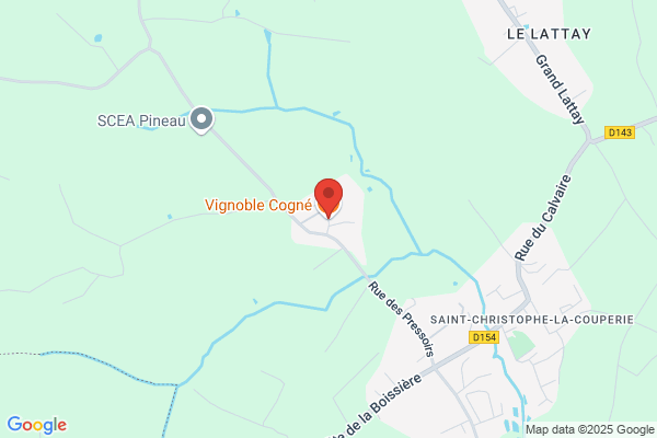 Cognee Christian