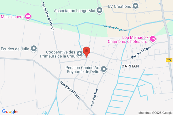 Chamanier Didier