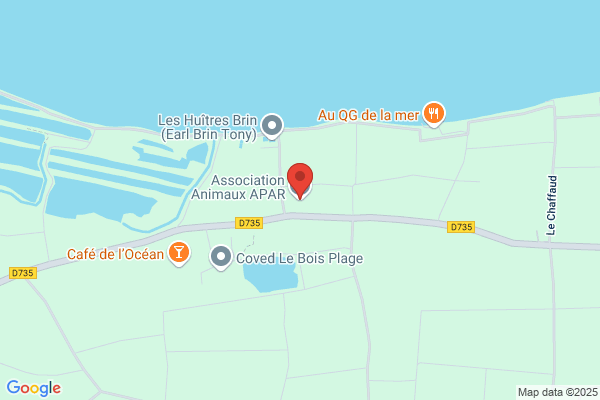 Apar Assistance Pour Animaux Rethaise