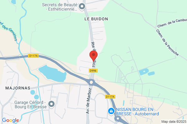 Goigoux Patrice