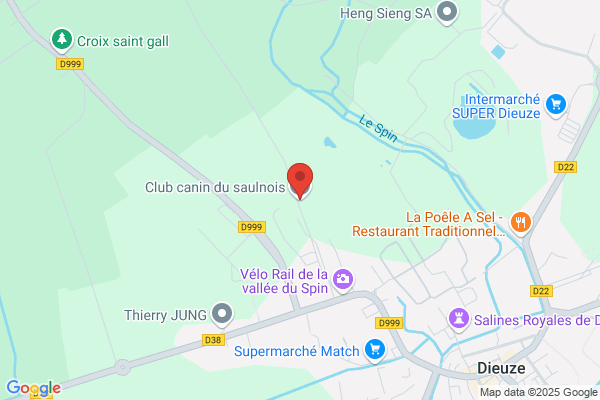 Club Du Chien
