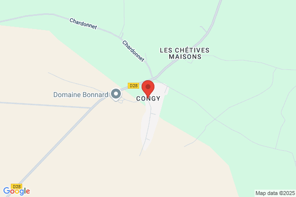 Congy Dominique