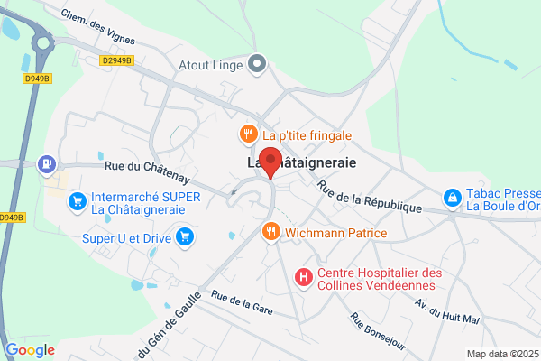MMA Assurances LA CHATAIGNERAIE