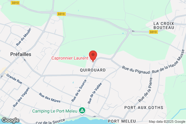 Capronnier Laurent
