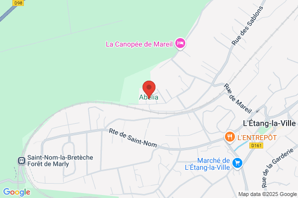 Aaj Abelia Amenagements De Jardins