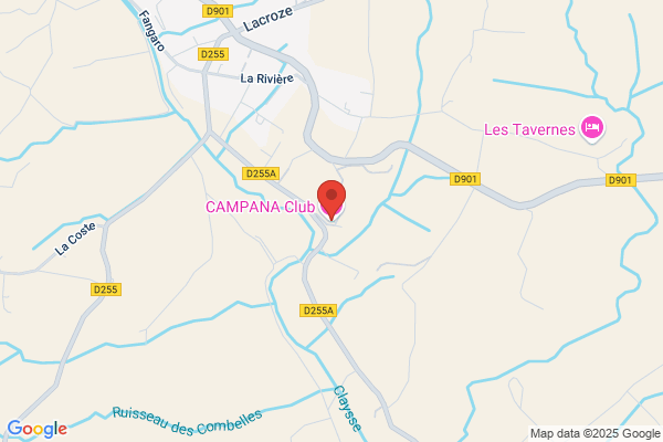 Campana M