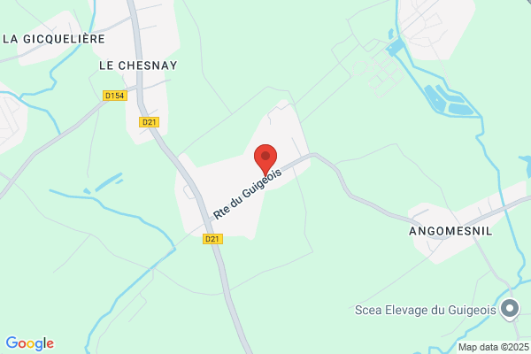 Camp Les Damans