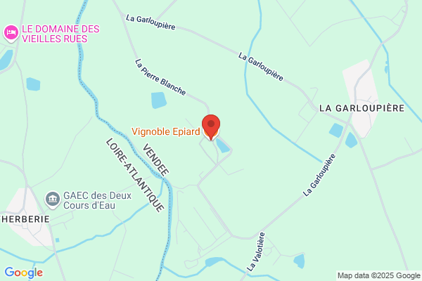 Epiard Gerard Vins Detail