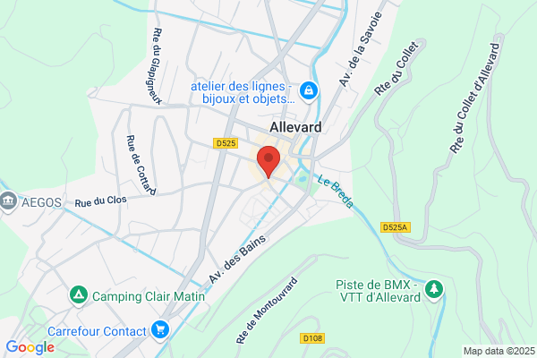 Anselmino Autocars
