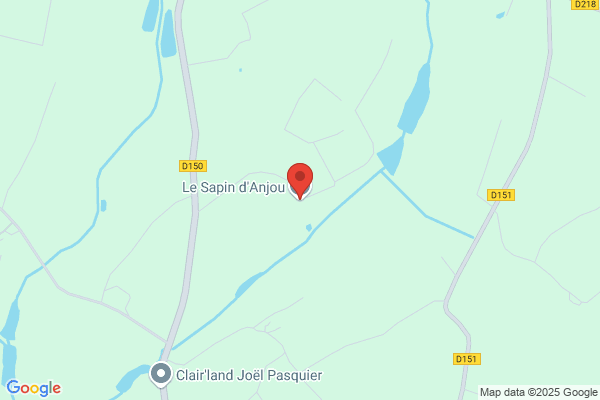 Le Sapin d'Anjou