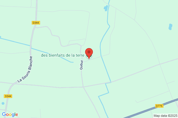 Les bienfaits de la terre