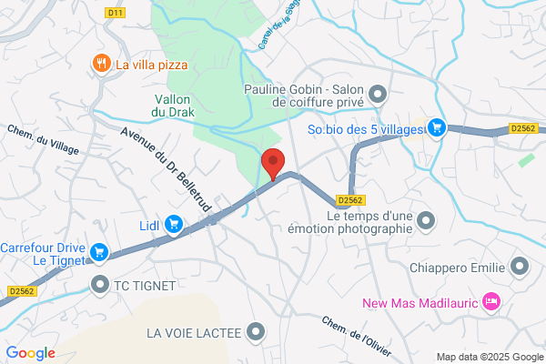 Entreprise Generale Electricite Vigier