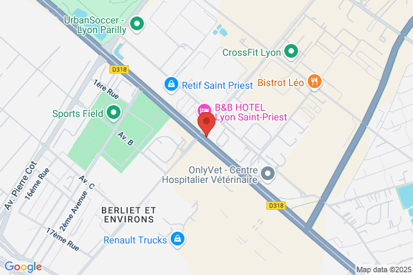 France Pare-Brise LYON - GENAS