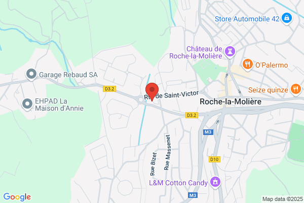 LES MENUS SERVICES SAINT-ETIENNE