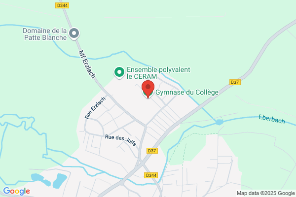 College Enseignement Secondaire Ces Gymnase
