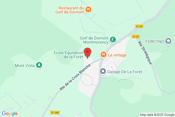 Cercle Hippique De La Foret De Montmorency chfm