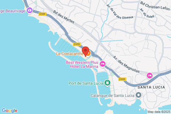 Boat Marine Services