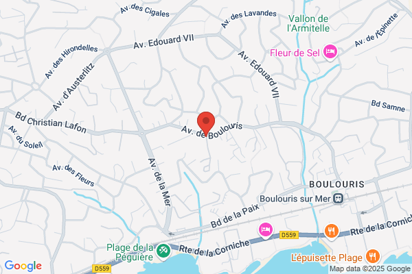 Camping De L Elephant