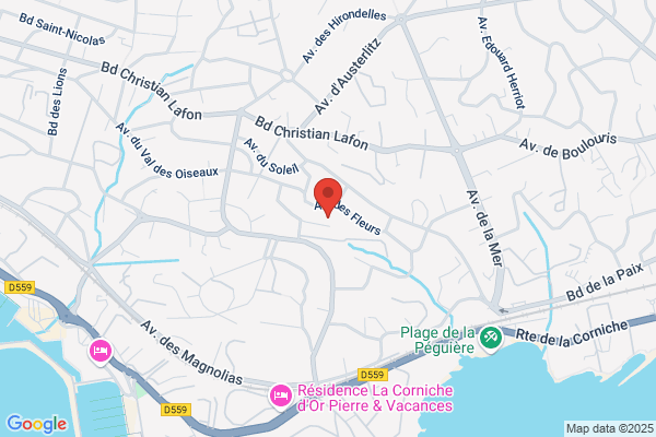Ecole Des Tasses