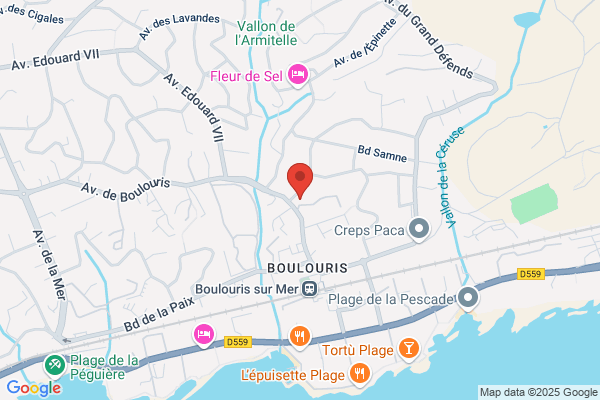 Hotel Restaurant La Potiniere De Boulouris
