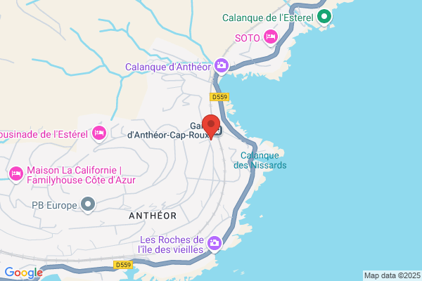 ANTHEOR CONSEILS