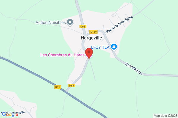 Au Coeur Des Arbres