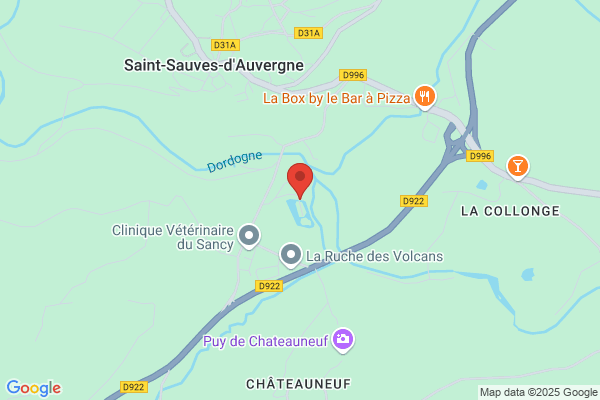 Camping Du Pont De La Dordogne