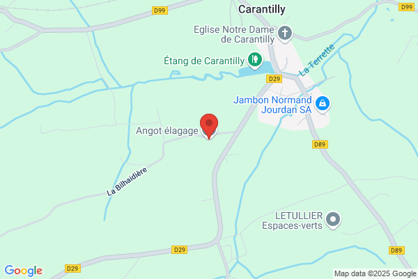 Angot Thierry